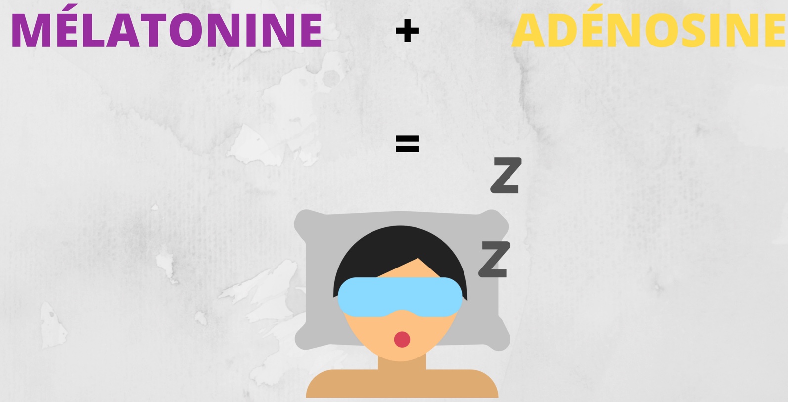 La mélatonine + l'adénosine engendre le sommeil