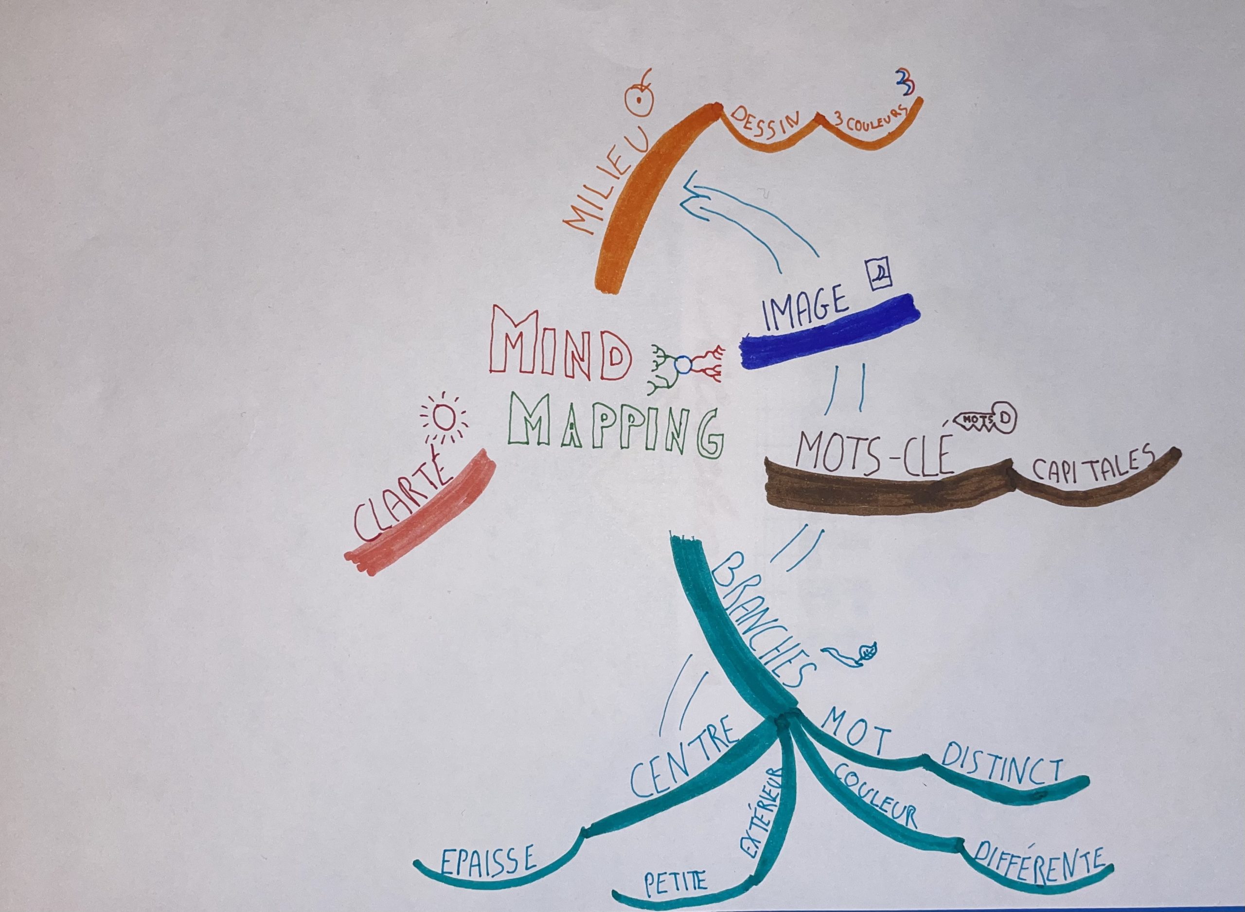 Carte mentale récapitulant les règles du mind mapping