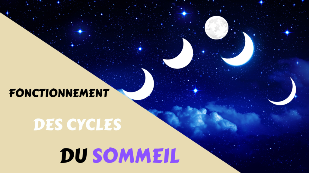Comment fonctionnent les cycles du sommeil