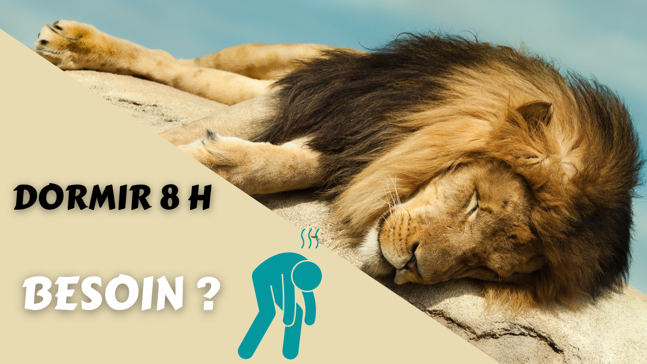 Pourquoi dormir 8 heures?