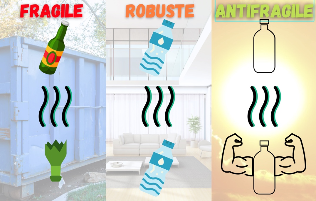 Fragile, robuste et antifragile