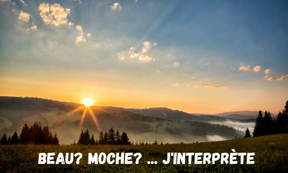 Un paysage est-il beau...? Moche...? Dans tous les cas, j'interprète.