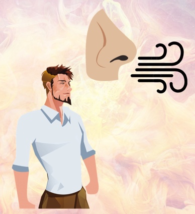 La respiration et la posture