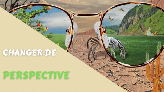 Mettre en perspective