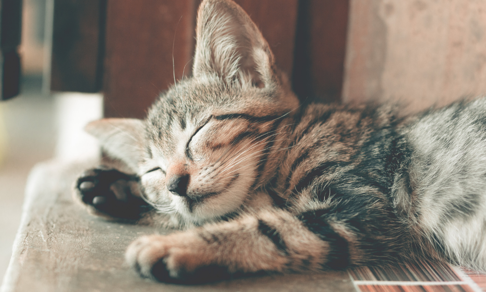 repos pour recharger ses batteries