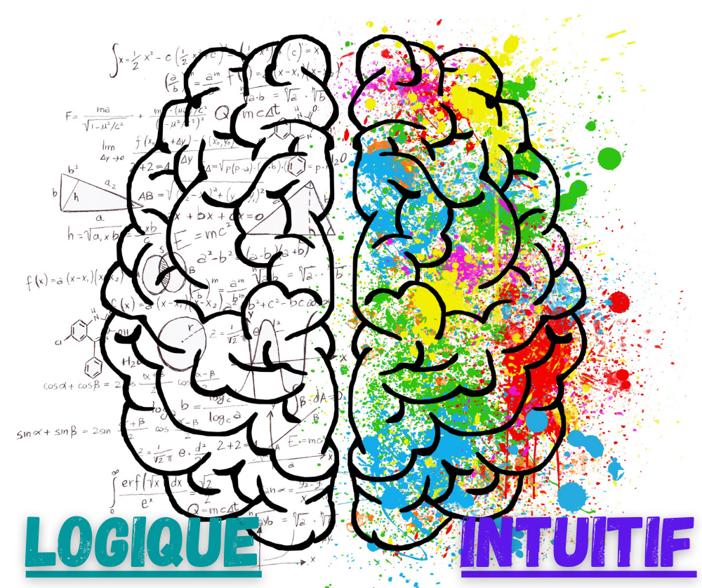 Logique et intuitif pour être organiser 