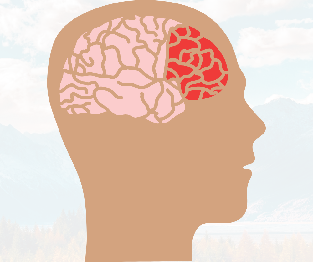 Cortex préfrontale pour avoir du self-controle