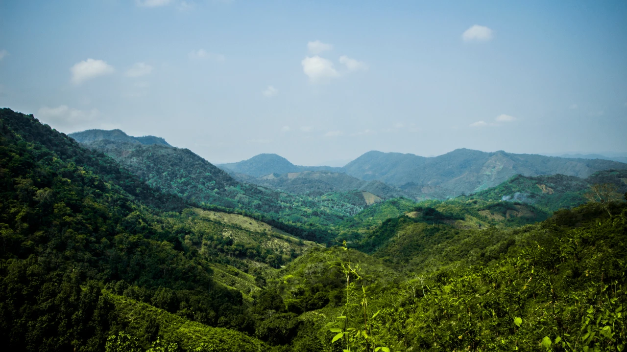 Beau paysage qui représente un bel environnement équilibré