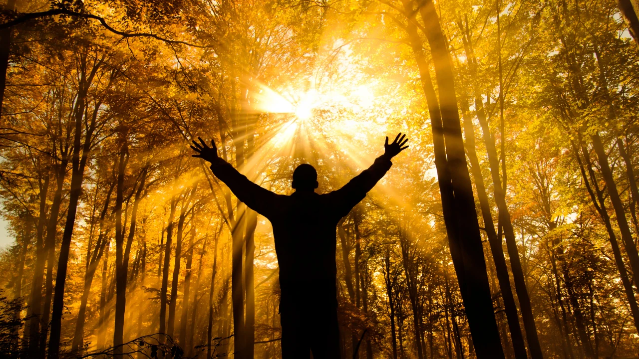 Un homme qui ouvre ses bras dans une forêt avec le soleil magnifique qui traverse les branches et représente les bénéfices de la spiritualité.