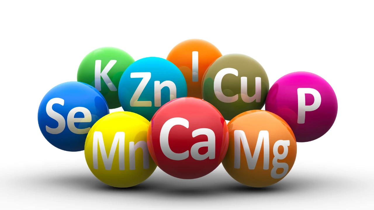 Vitamines et minéraux
